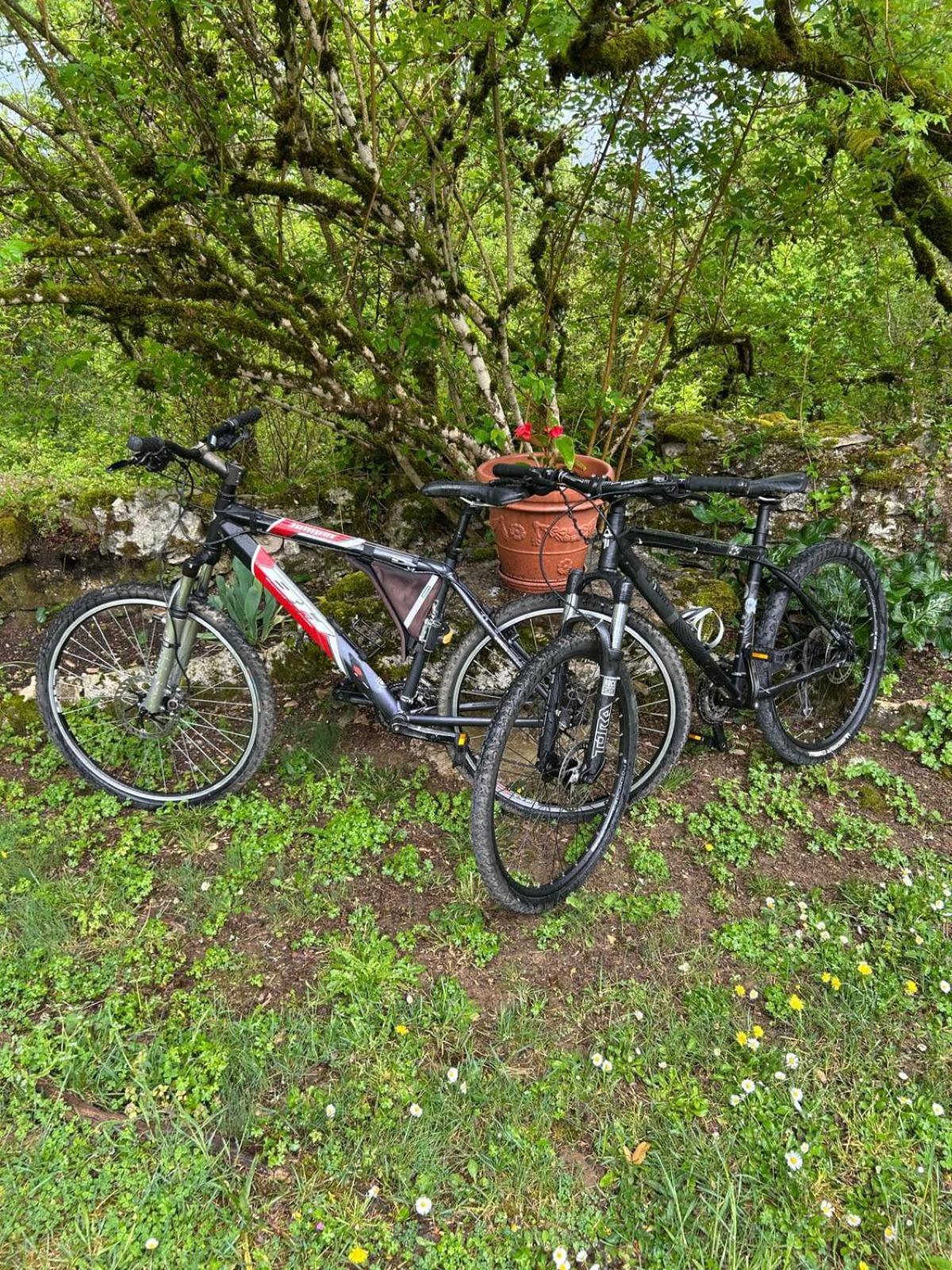 Gite sur le causse de St CHELS, charme sport et détente Saint-Chels Esterno foto